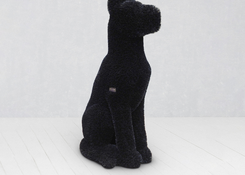 Dog black
