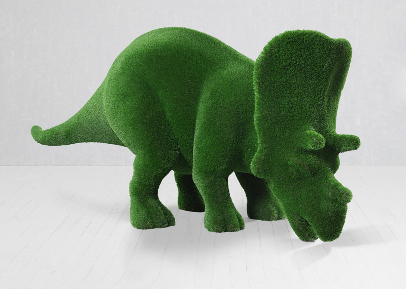 Triceratops small