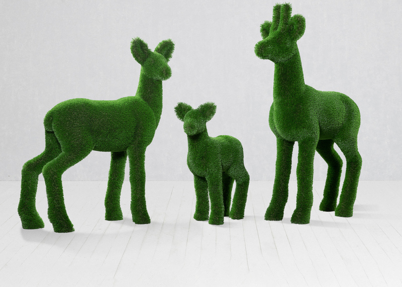 Set roe deers
