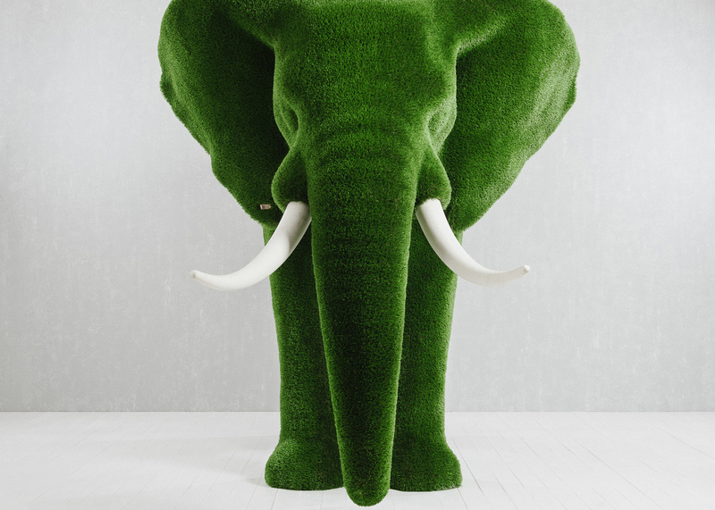 Elephant big